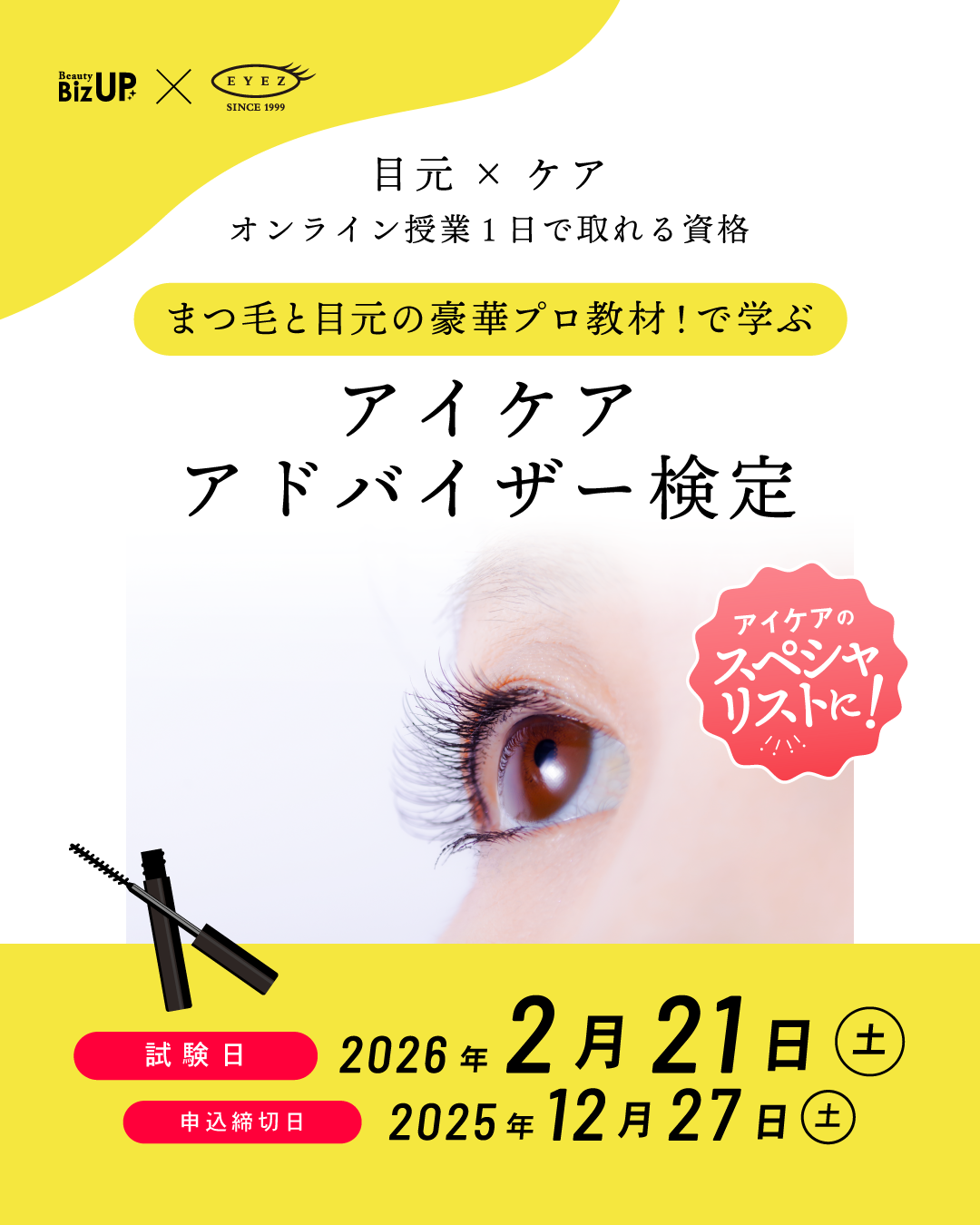 アイケアアドバイザー検定