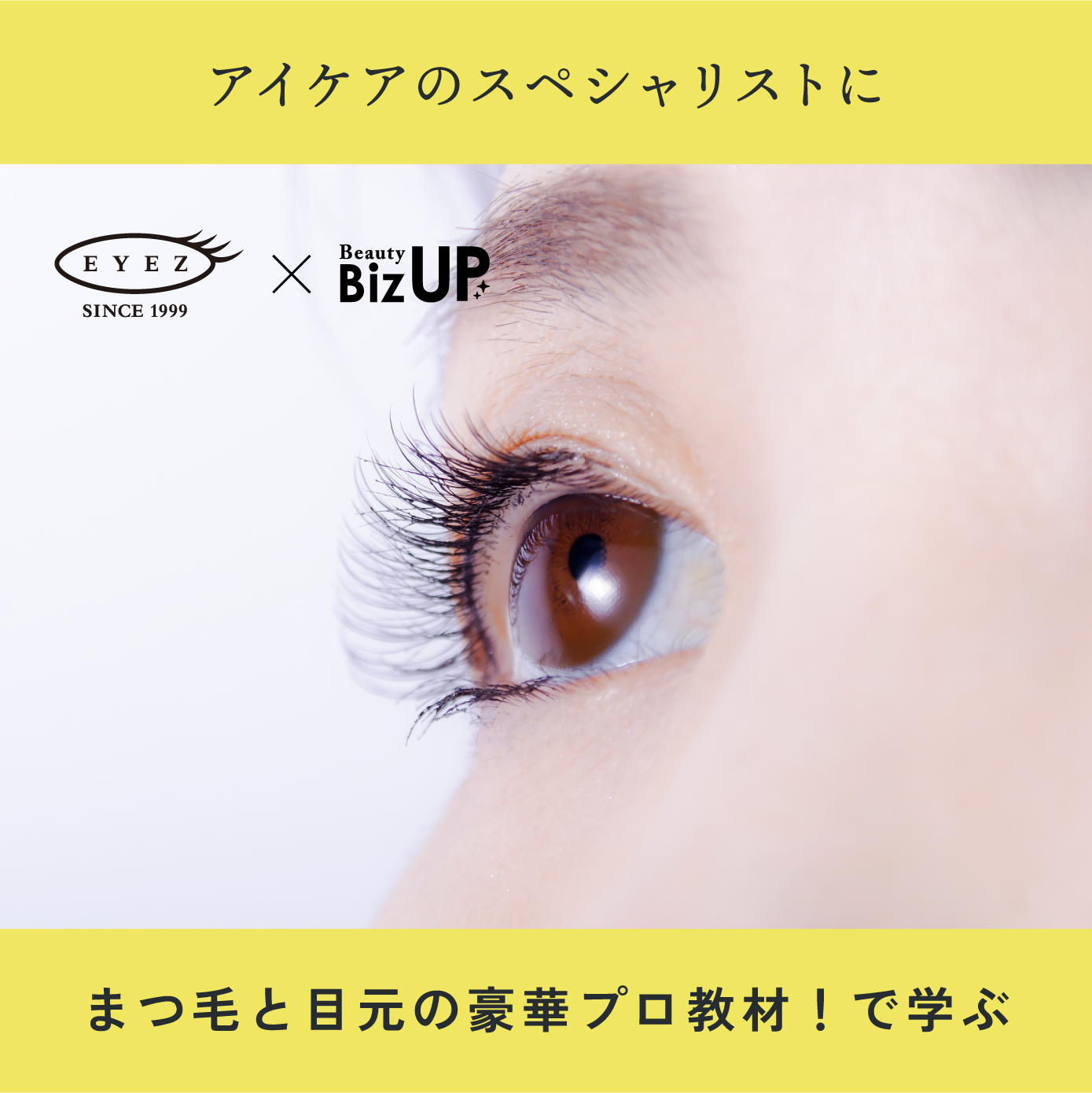 アイケアアドバイザー検定